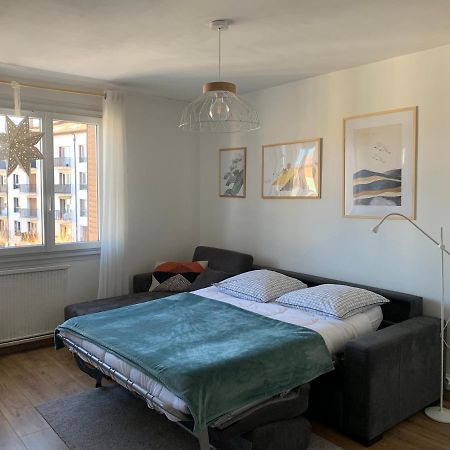 Appartement Cosy Proche Du Centre 阿讷西 外观 照片