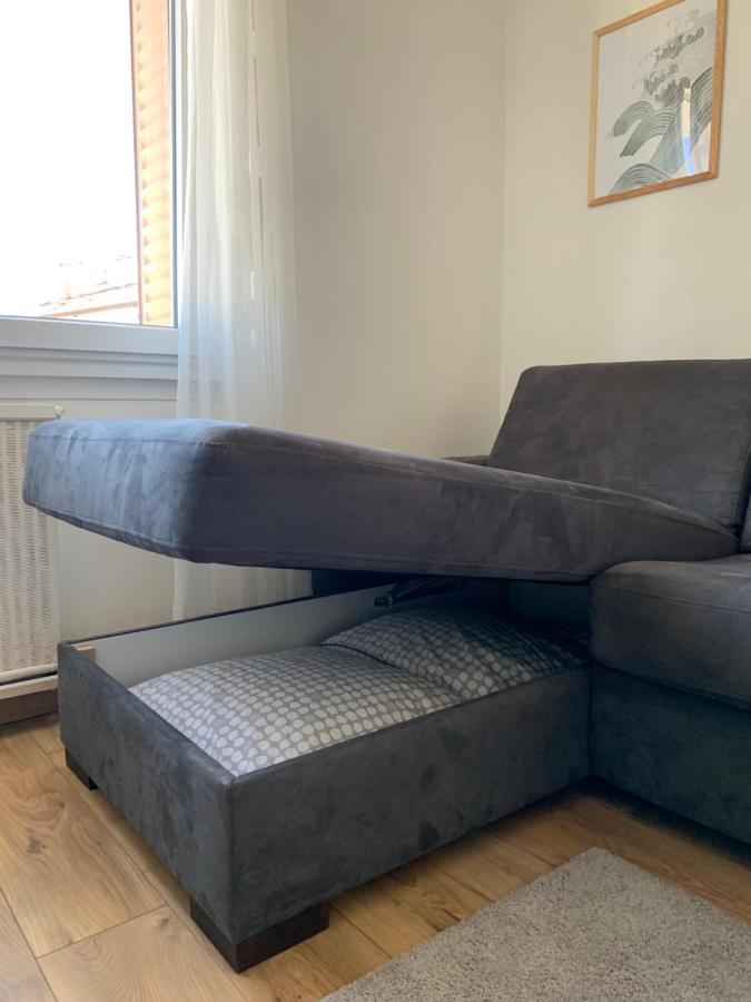 Appartement Cosy Proche Du Centre 阿讷西 外观 照片